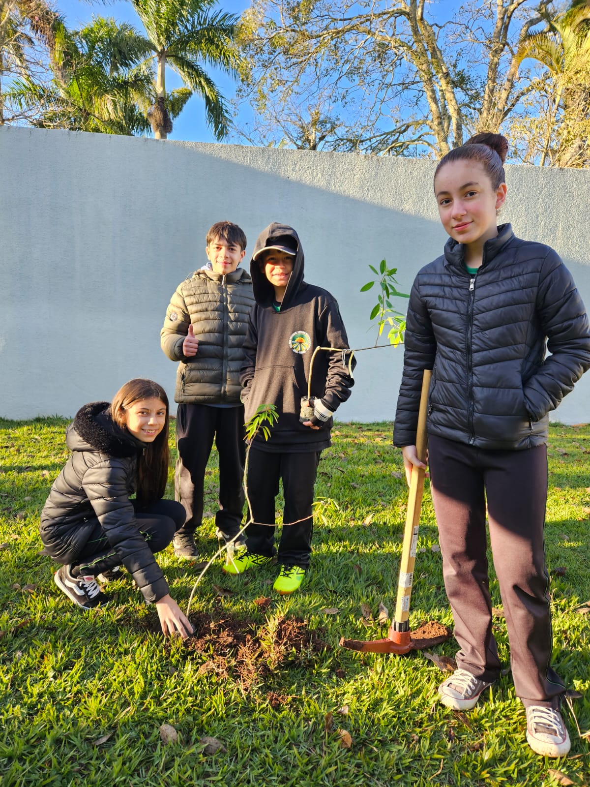 Alunos envolta de uma muda de árvore